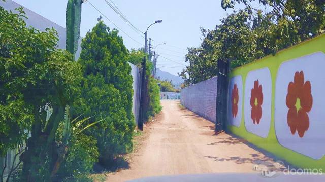 TERRENO para casa de campo 1 HECTÁREA CON FRUTALES DE NÍSPERO Y MANDARINA