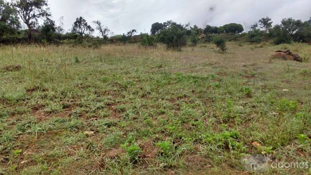 VENDO TERRENO EN HUANUCO 7200m, PARA CASA CAMPO O SEMBRÍO, ZONA SIN HUAYCOS