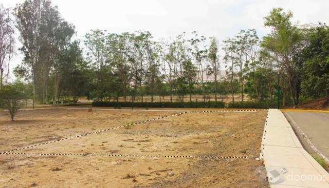 Terreno en venta - Cañete