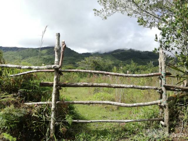 Venta de Terreno en producción La unión Amazonas