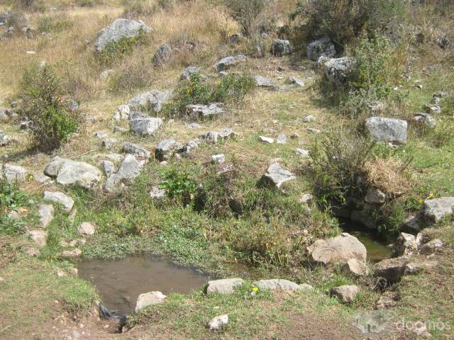 Venta 8 Hectareas de Terreno Agricola