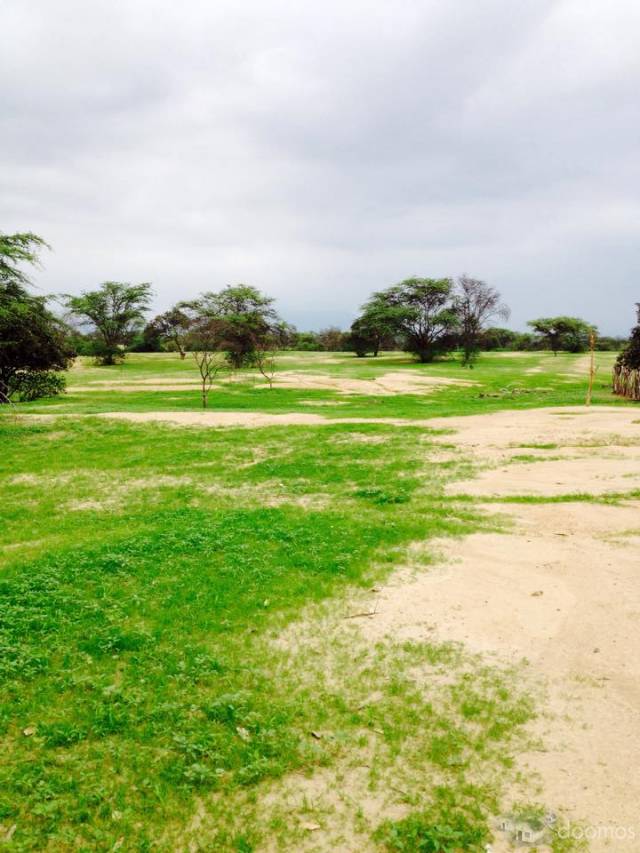 Terreno para vivir, sembrar y criar