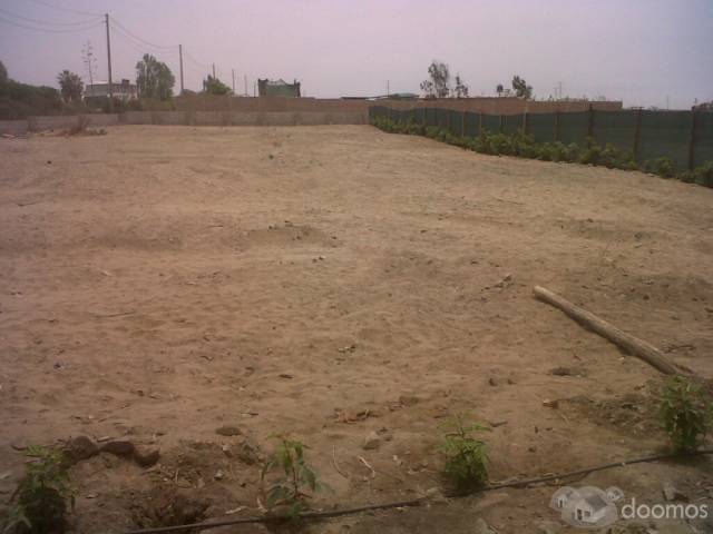 TERRENO ALQUILO 9,000 M2 ZONA INDUSTRIAL IDEAL ALMACEN