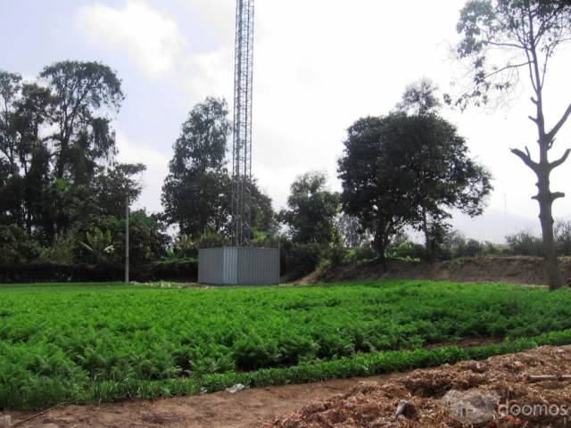 vendo terreno agricola inscrito en registros publicos todo en regla con agua y regadío ubicado en Aucallama Huaral.