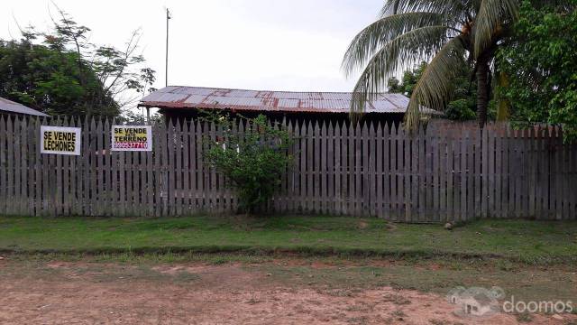 TERRENO-PUCALLPA, AA.HH. LOS TULIPANES DEL KM 6 , DE 18 x 22.50 metros