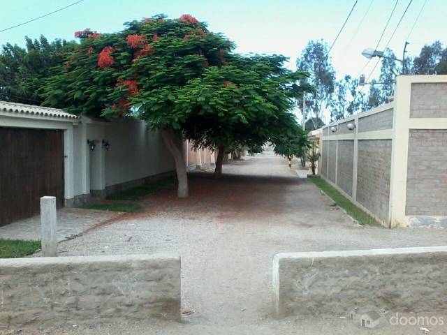 Vendo local o almacen en chincha