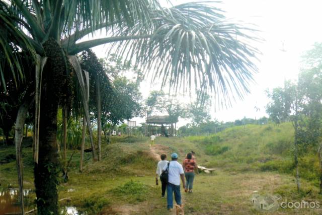 SE VENDE FUNDO EN IQUITOS