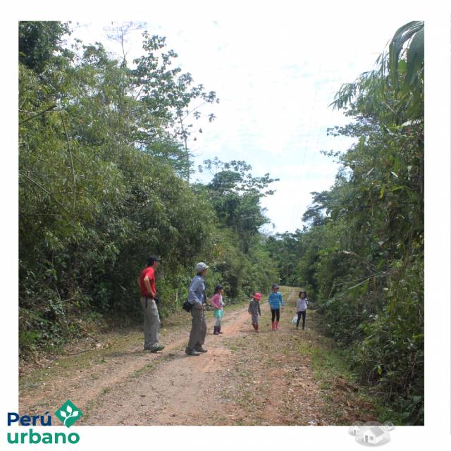 LOTES EN VENTA TAMBOPATA, HERMOSO CONDOMINIO EN TAMBOPATA, PUERTO MALDONADO, MADRE DE DIOS, CAMPESTRE