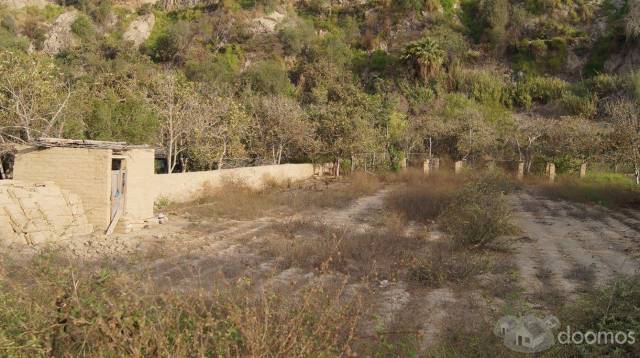 VENDO TERRENO EN LUNAHUANÁ 3000 MT2 EN EL ANEXO DE JITA