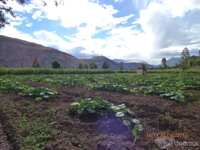 vendo terreno en cusco