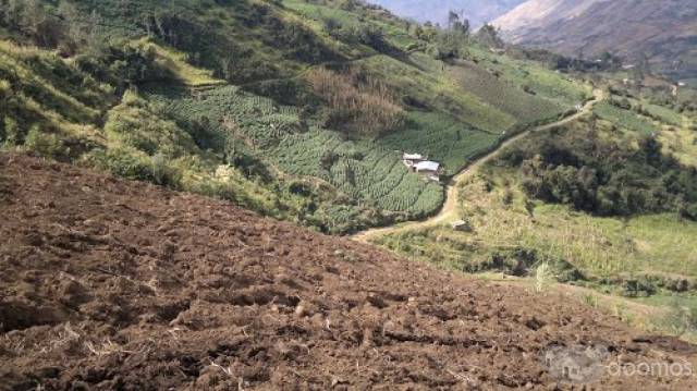 Vendo 50 hectáreas de terreno agricola