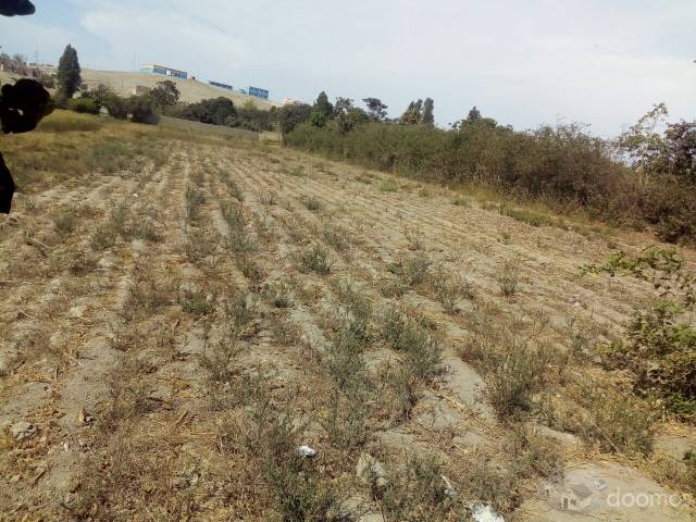 OCACION VENDO TERRENO EN HUACHO /SANTA MARIA