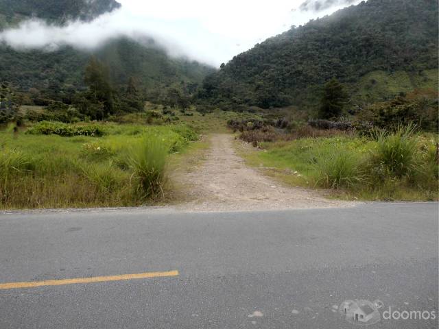 Oxapampa-Cantarizú Terrenos 200m2