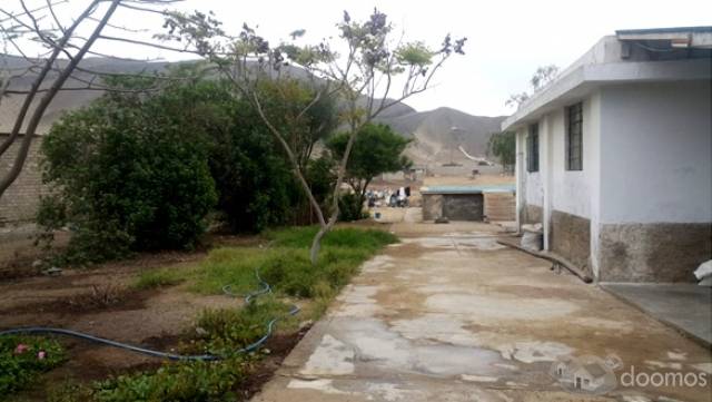 SE VENDE TERRENO EN PAPA LEÓN DE CHILCA!!