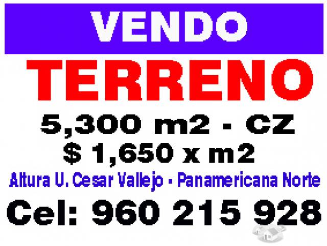 TERRENO 5,300 M2 LOS OLIVOS ALT. UNIVERSIDAD CESAR VALLEJO  $ 1650 DOLARES X M2 LLAMAR 960 215 928