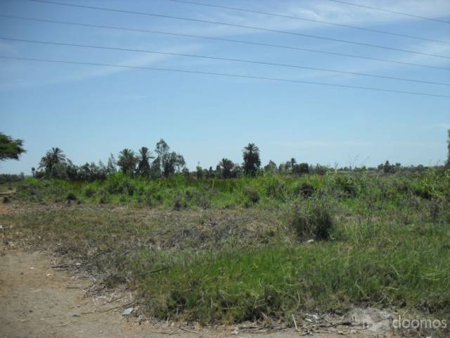 Vendo Terreno En Pisco En La Zona De Pampa De Ocas