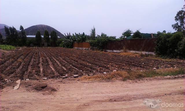 VENDO TERRENO EN PACHACAMAC