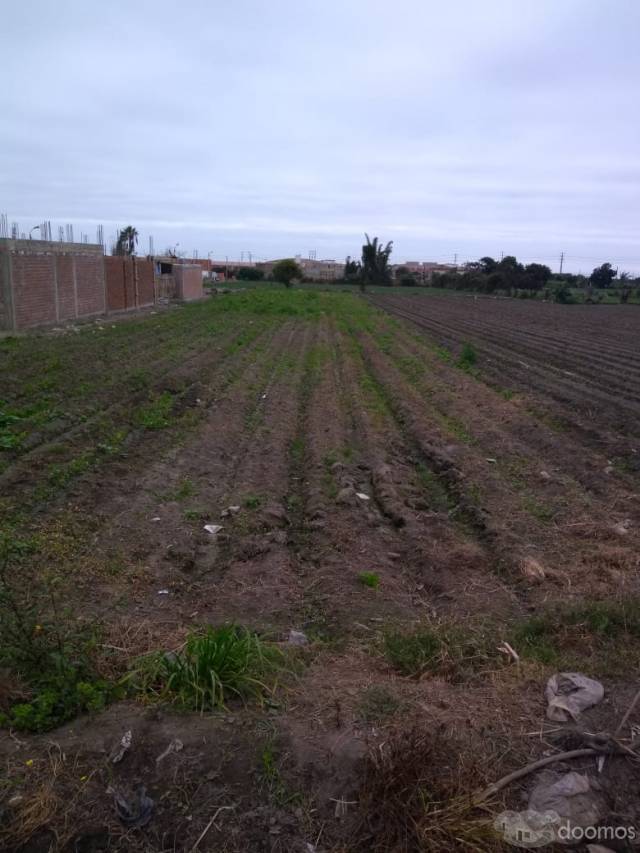 OCACION DE VENTA DE TERRENO PARA VIVIENDA O CASA HUERTA