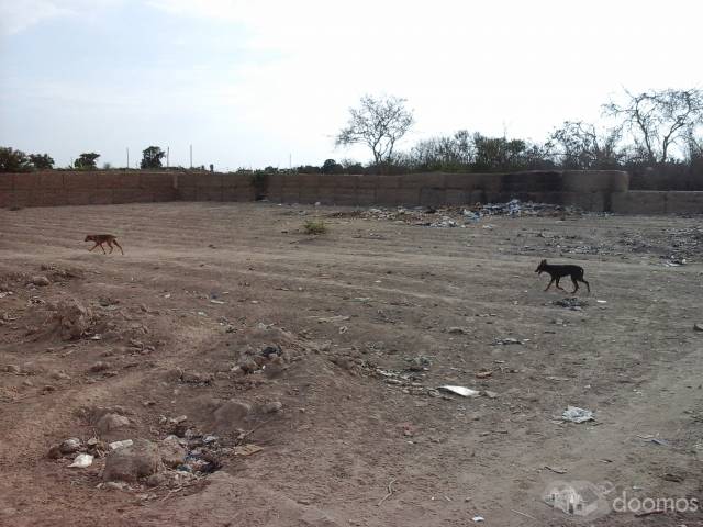 SE VENDE TERRENO EN MINA DE ORO - SUNAMPE - CHINCHA