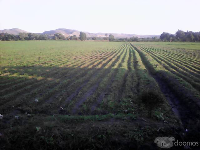 TERRENO EN CAMPIÑA DE HUACHO