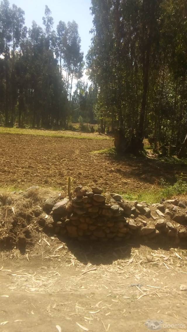 Terreno rural con papeles