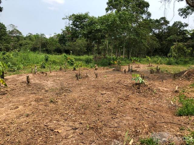 SE VENDE TERRENO EN SANTO TOMÁS