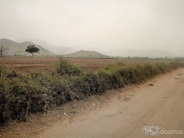 Terreno en venta en Chancay para inversión 1.5 Hectáreas