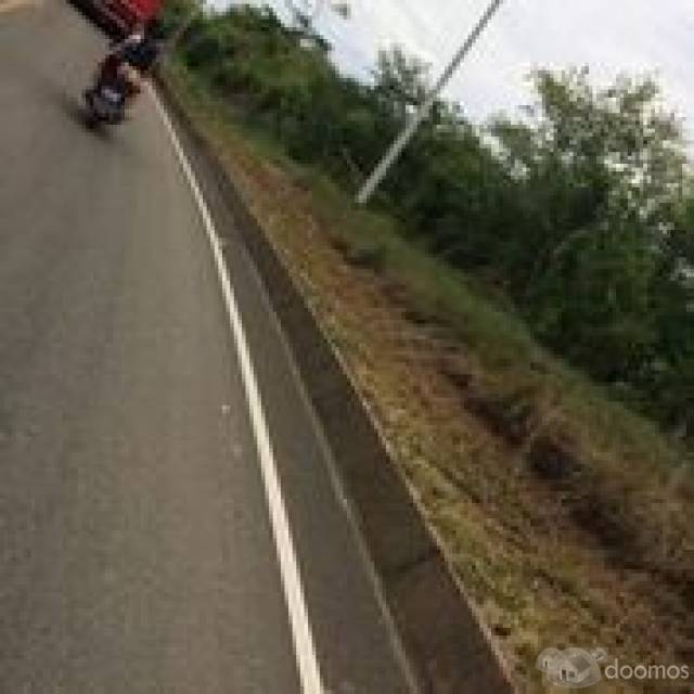 TARAPOTO - TERRENO AGRICOLA