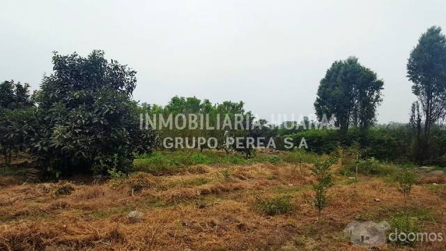 VENDO TERRENO 23,229 m2 EN PALPA - HAURAL