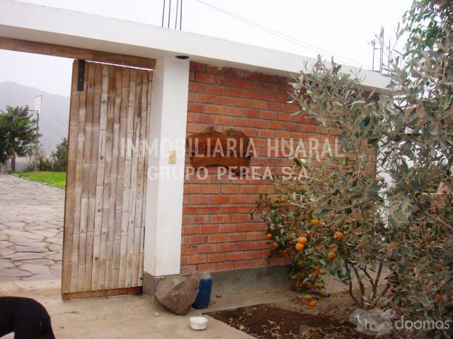 VENDO TERRENO 120 has EN PALPA - HUARAL