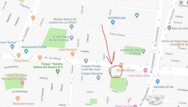 Alquiler local comercial 1000 m2 - San Martín de Porres - Lima