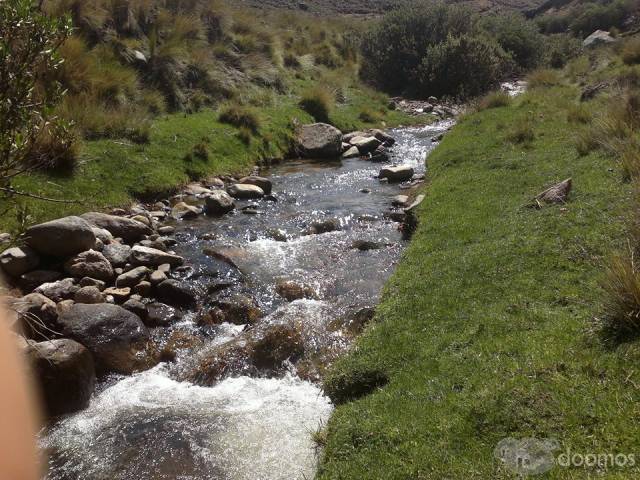 VENDO TERRENO RURAL CON PASTIZALES NATURALES CON 147 HECTÁREAS CON AGUA PROPIA DE MANANTIALES TODO EL AÑO