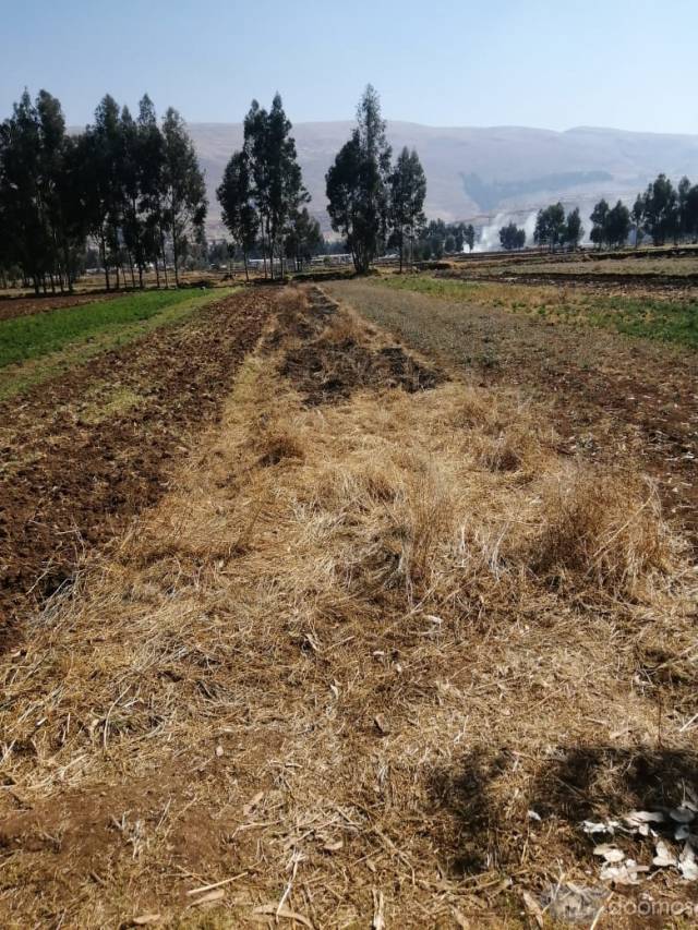 OCASIÓN: VENDO TERRENO AGRÍCOLA DE RIEGO: