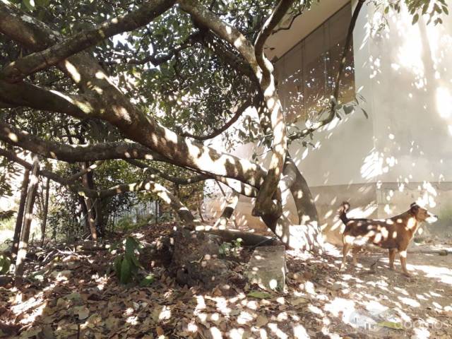 casa en celenidn