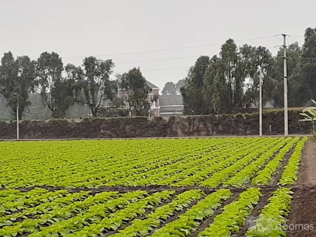 Venta de terreno en Pachacamac