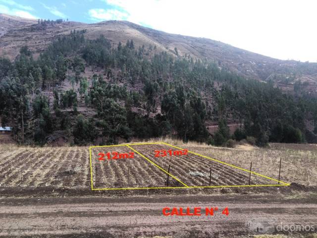 VENDO 2 LOTES EN A.P.V. MATO PILLAO/SAN JERONIMO/CUSCO AREAS 210M2 y 230m2