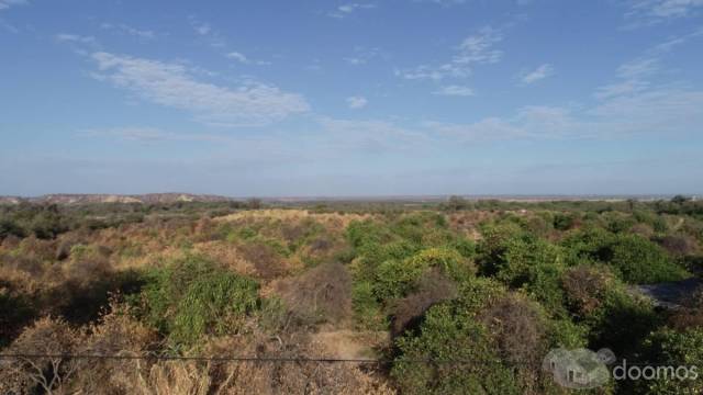 VENTA DE PARCELA AGRICOLA EN MEDIO PIURA