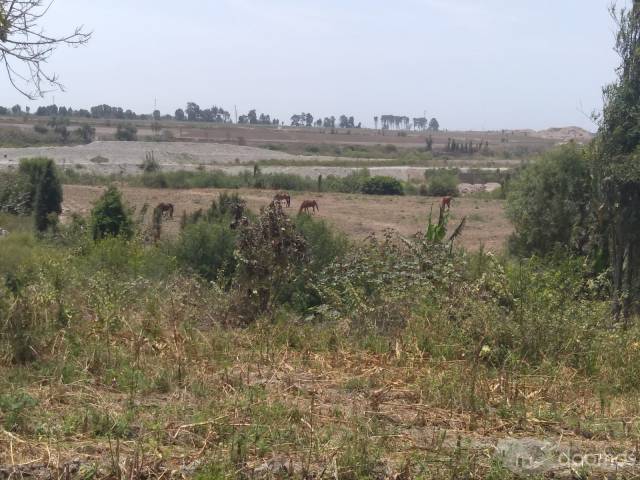 Venta de Terreno de 4’8673 hectáreas sector Ingenio Veguetilla Huaura Huacho, Altura km 154 nueva panamericana norte