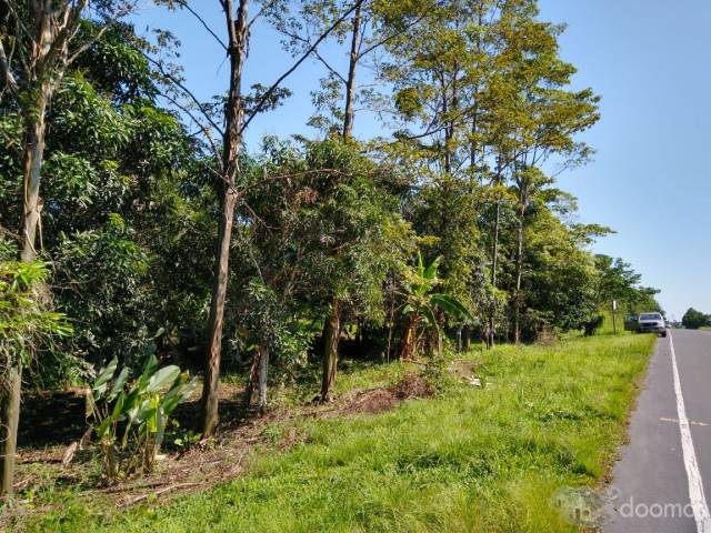 TERRENO CON ARBOLES FRUTALES Y MADERABLES LISTO PARA PISCIGRANJA