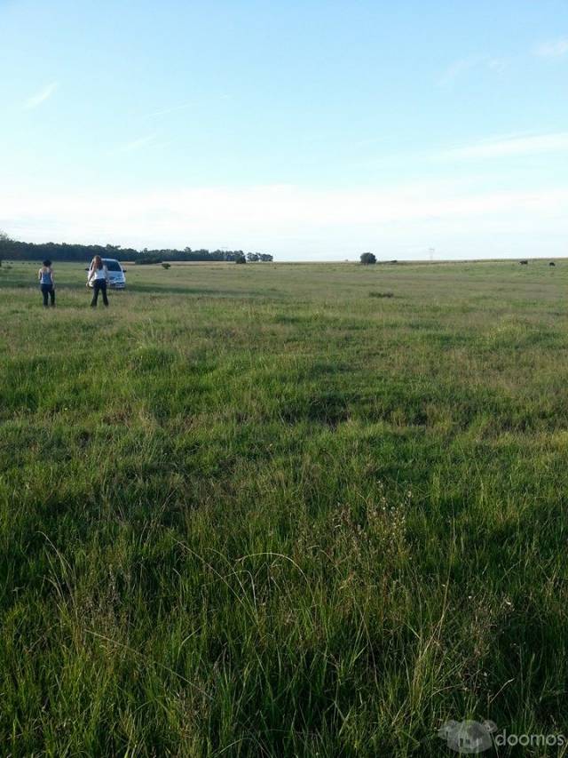 VENTA DE CAMPO ARGENTINA BUENOS AIRES