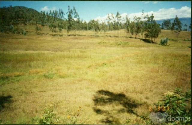 VENTA DE TERRENO EN CHACHAPOYAS