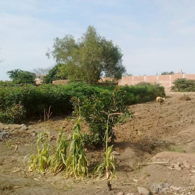 Terreno en Trujillo