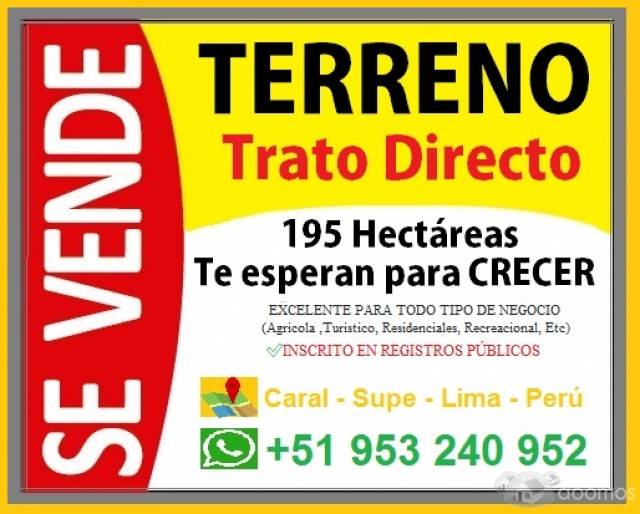 VENDO TERRENO 195 HAS CARAL