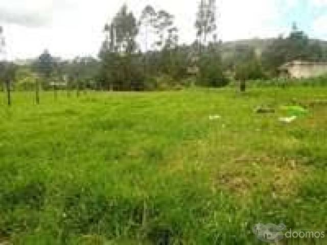 VENTA OCASION TERRENO LA LUCMA BAMBAMARCA