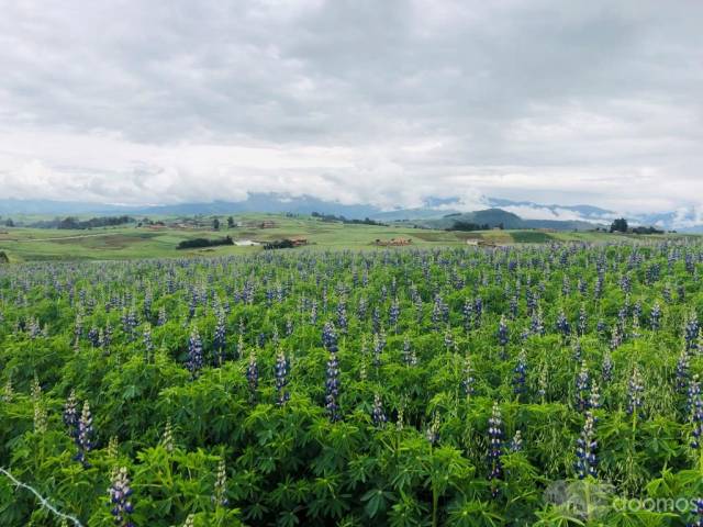 ¡HERMOSO TERRENO EN CUSCO-CHINCHERO!