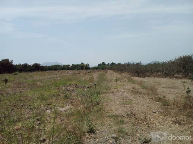 TERRENO DE 380 M2 CON DOBLE FRONTERA A $20,000