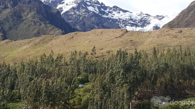 EN VENTA TERRENO EN SECTOR PISCACUCHO - OLLANTAYTAMBO