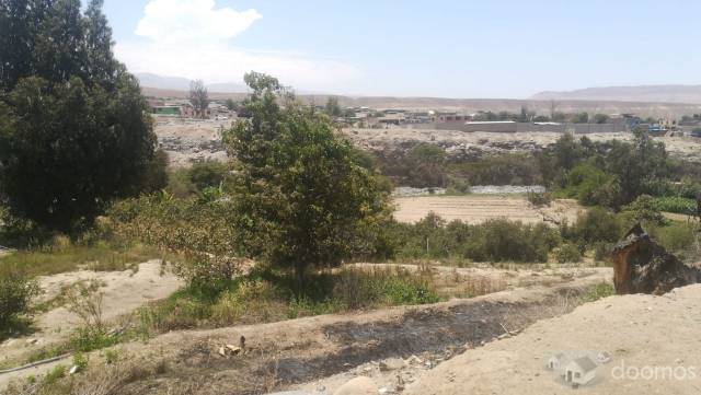 TERRENO PARA CASA DE CAMPO-FRENTE A CALIENTES - TACNA