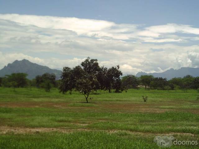 terreno agrícola de 220 hectáreas