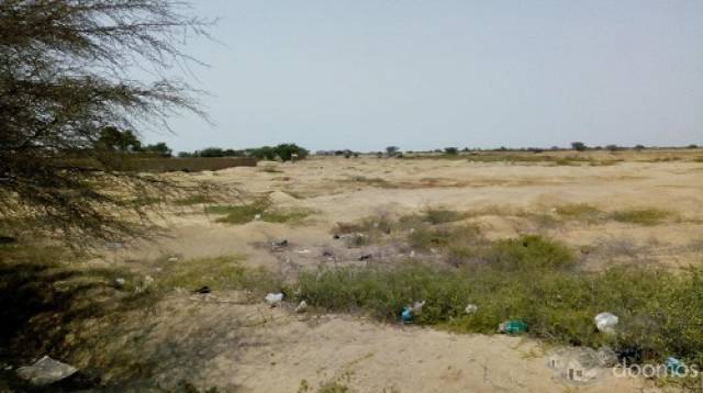 VENTA TERRENO AGRICOLA LAMBAYEQUE EN LA ZONA DE EXPANSION URBANA